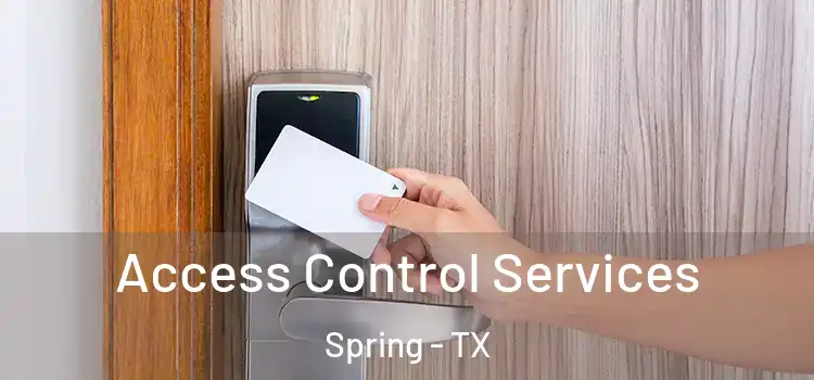 Access Control Services Spring - TX
