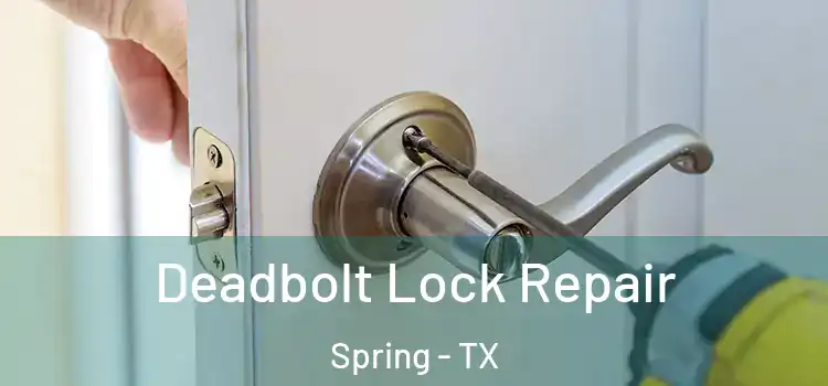  Deadbolt Lock Repair Spring - TX