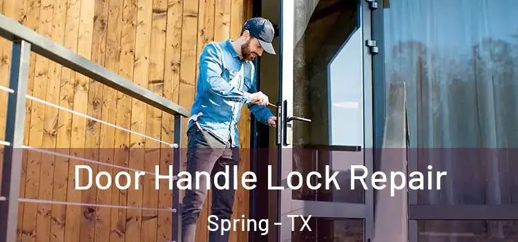  Door Handle Lock Repair Spring - TX