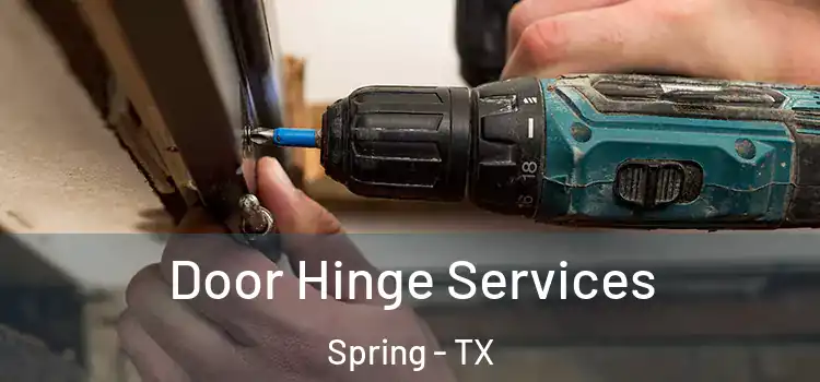 Door Hinge Services Spring - TX