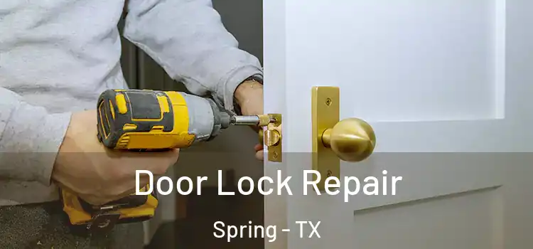Door Lock Repair Spring - TX
