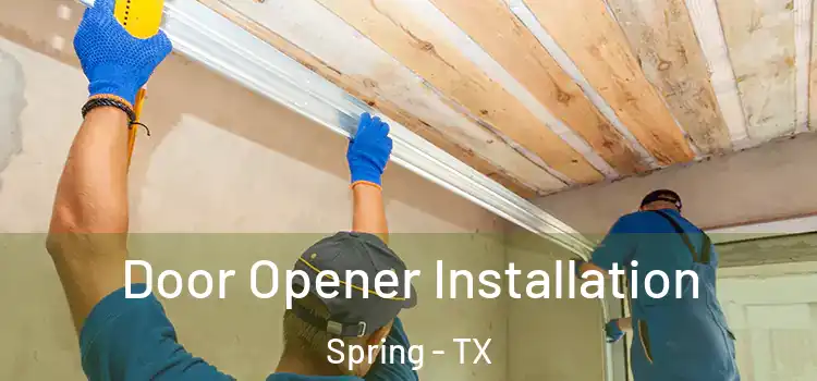  Door Opener Installation Spring - TX