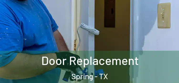Door Replacement Spring - TX