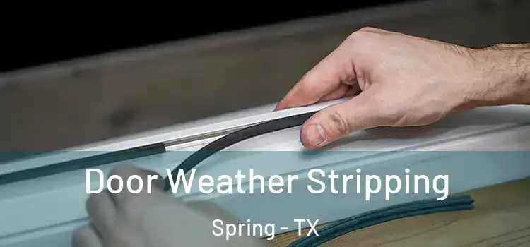  Door Weather Stripping Spring - TX