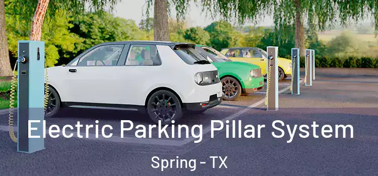 Electric Parking Pillar System Spring - TX