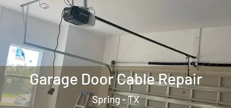  Garage Door Cable Repair Spring - TX