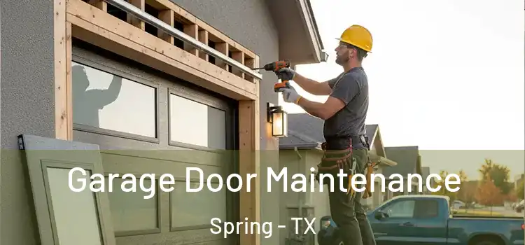 Garage Door Maintenance Spring - TX