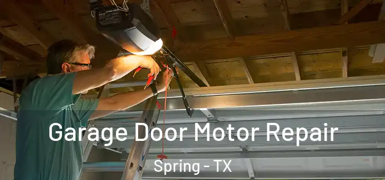  Garage Door Motor Repair Spring - TX