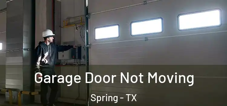  Garage Door Not Moving Spring - TX