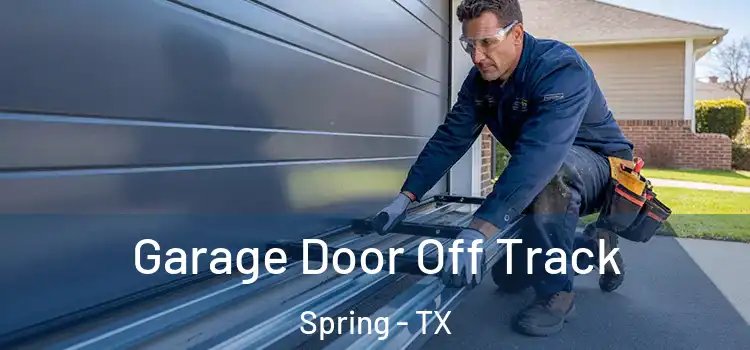  Garage Door Off Track Spring - TX