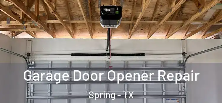  Garage Door Opener Repair Spring - TX