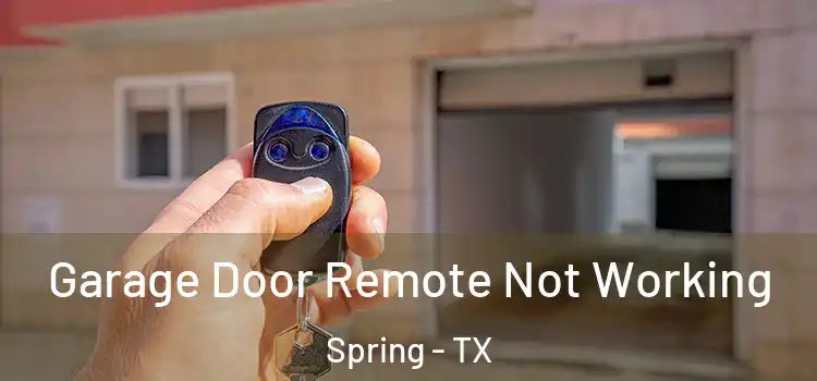  Garage Door Remote Not Working Spring - TX