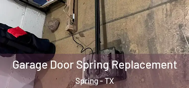  Garage Door Spring Replacement Spring - TX