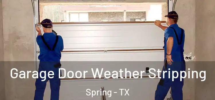  Garage Door Weather Stripping Spring - TX