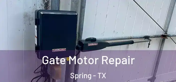  Gate Motor Repair Spring - TX