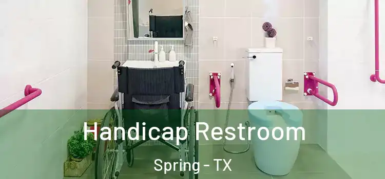  Handicap Restroom Spring - TX