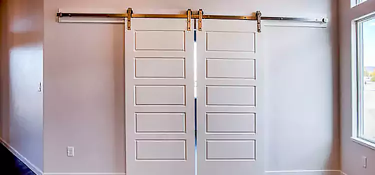 Glass Barn Door with Installation Hardware Kit Spring