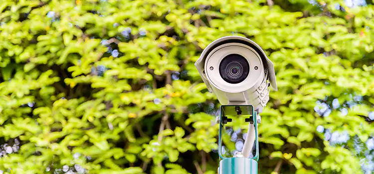 Advanced Surveillance Solutions for Every Need in Spring