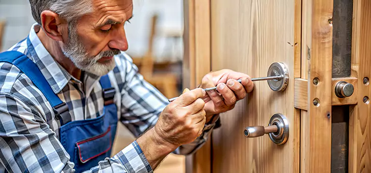 Mortise Replacement Lock Spring
