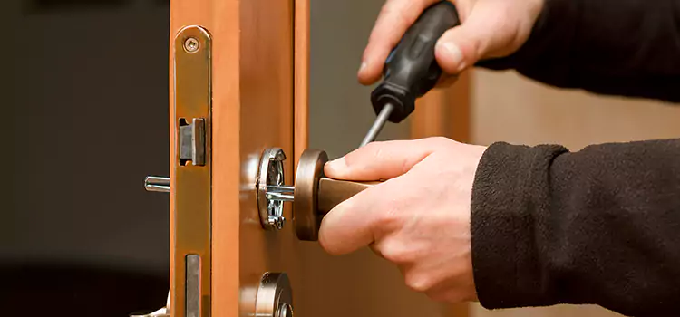 Locked Out of Your House Spring