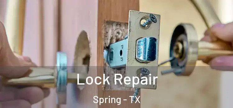  Lock Repair Spring - TX
