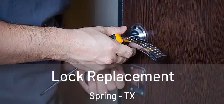 Lock Replacement Spring - TX