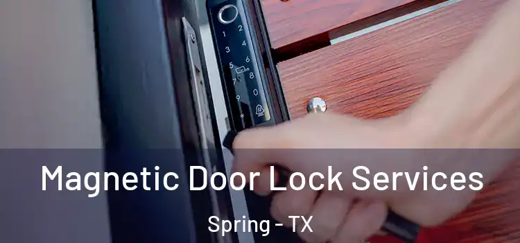  Magnetic Door Lock Services Spring - TX