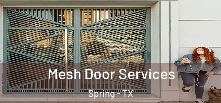  Mesh Door Services Spring - TX