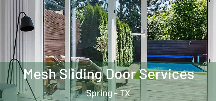  Mesh Sliding Door Services Spring - TX