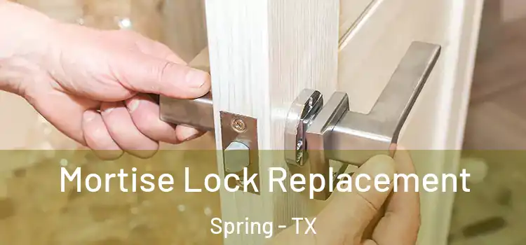 Mortise Lock Replacement Spring - TX