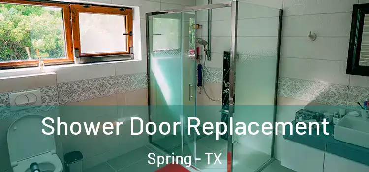  Shower Door Replacement Spring - TX
