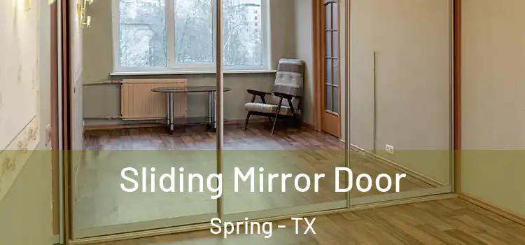  Sliding Mirror Door Spring - TX