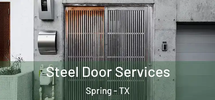  Steel Door Services Spring - TX